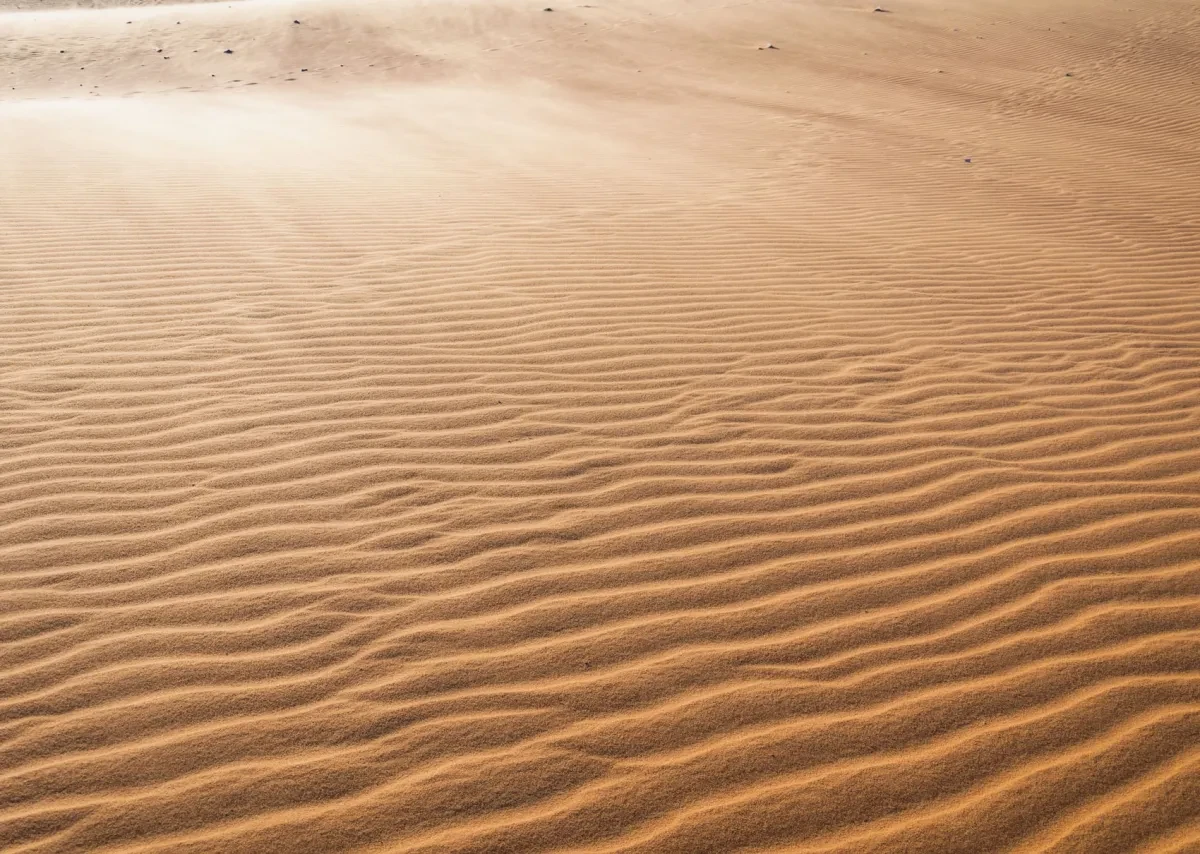 sand-lines_sm.jpg
