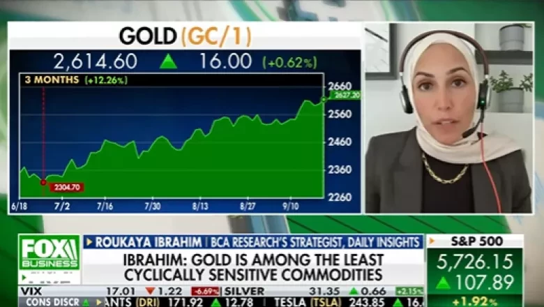 Roukaya Ibrahim talks with Fox Business on her outlook for gold